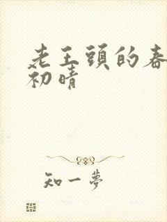 老王头的春天林初晴