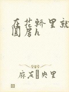 在花轿里就开始圆房h