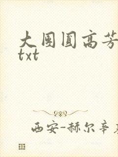 大团圆高芳小说txt