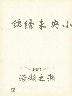 锦绣未央小说