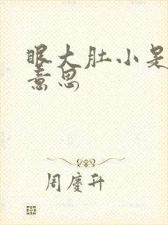 眼大肚小是什么意思