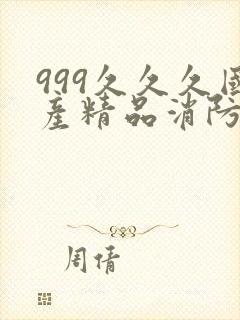 999久久久国产精品消防器材