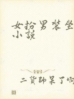 女扮男装坐江山小说