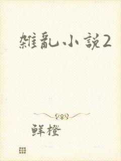 杂乱小说2