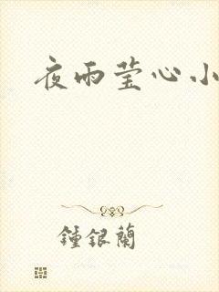 夜雨莹心小说