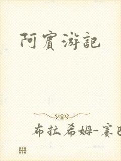 阿宾游记