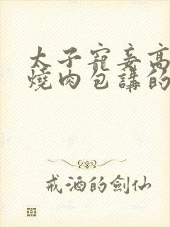 太子宠妾高肉红烧肉包讲的什么