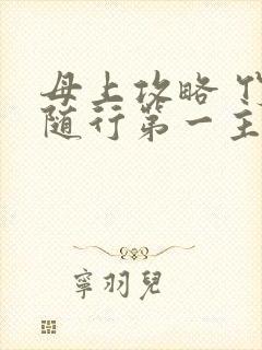 母上攻略 竹影随行第一主板