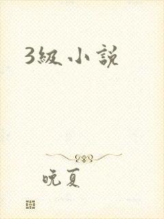 3级小说