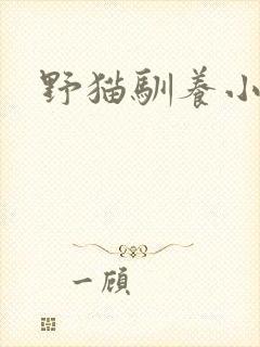 野猫驯养小说