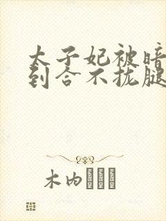 太子妃被暗卫C到合不拢腿