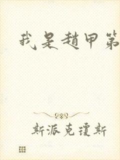 我是赵甲第小说