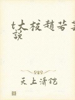 t大校赵若芸小说