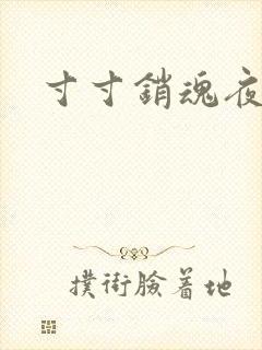 寸寸销魂夜春光