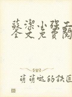 苏洁小强工地情全文免费阅读