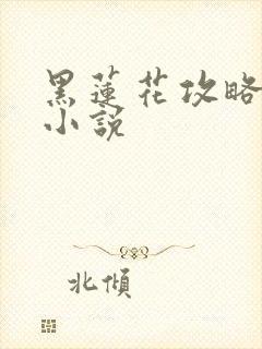 黑莲花攻略手册小说