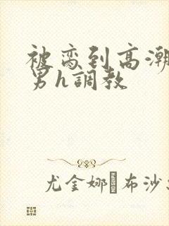 被脔到高潮的直男h调教