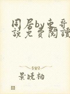 同居by东哥小说免费阅读全文无弹窗