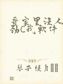 哥家里没人使点劲C我软件