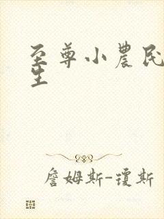 至尊小农民王木生