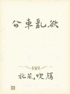 公车乱欲