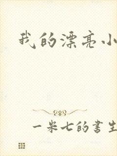 我的漂亮小后妈