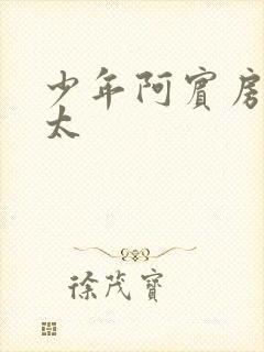 少年阿宾房东太太