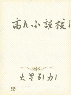 高h小说校园