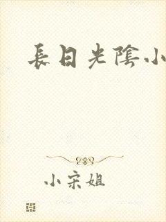 长日光阴小说