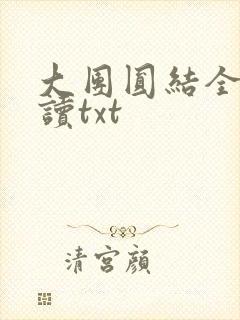 大团圆结全文阅读txt