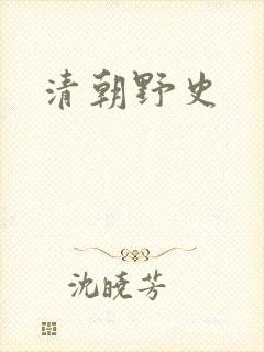 清朝野史