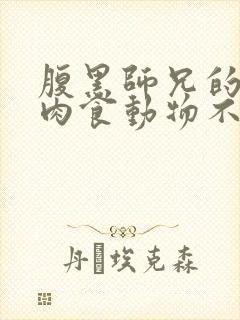 腹黑师兄的日常肉食动物不食草