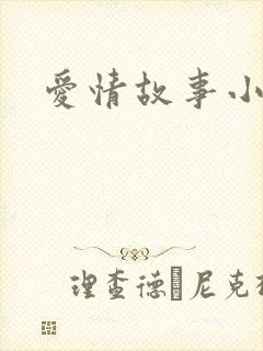 爱情故事小说