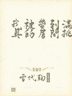 我被带到满是玩具的房间挑调游戏