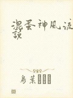 混蛋神风流史小说