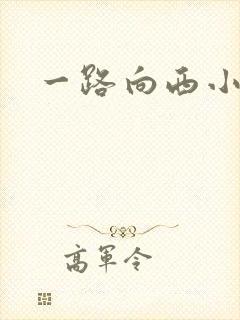 一路向西小说