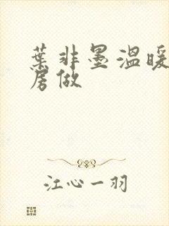 叶非墨温暖在厨房做