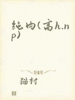 纯肉(高h.np)