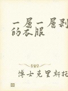 一层一层剥开我的衣服