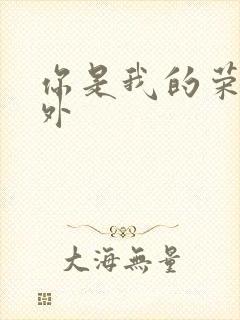 你是我的荣耀番外