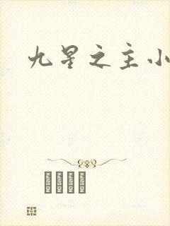 九星之主小说
