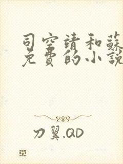 司空靖和苏月汐免费的小说笔趣阁