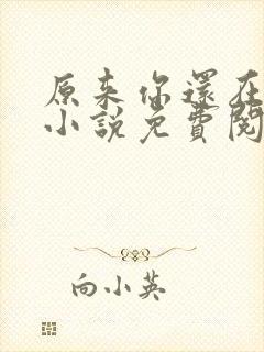 原来你还在这里小说免费阅读