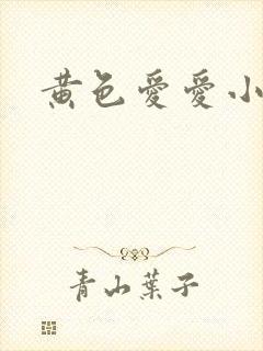 黄色爱爱小说
