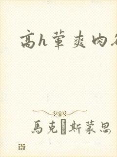 高h荤爽肉欲文