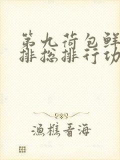 第九荷包鲜辣肉排总排行功能介绍