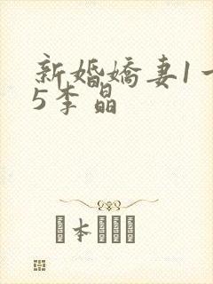 新婚娇妻1一25李晶