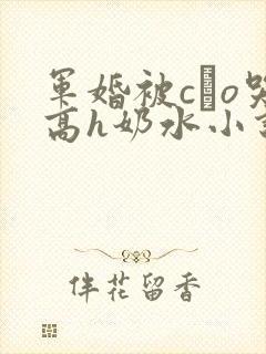 军婚被cαo哭高h奶水小说