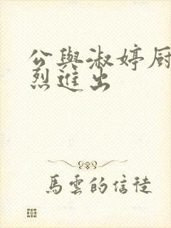 公与淑婷厨房猛烈进出