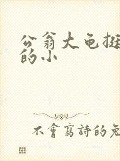 公翁大龟挺进我的小